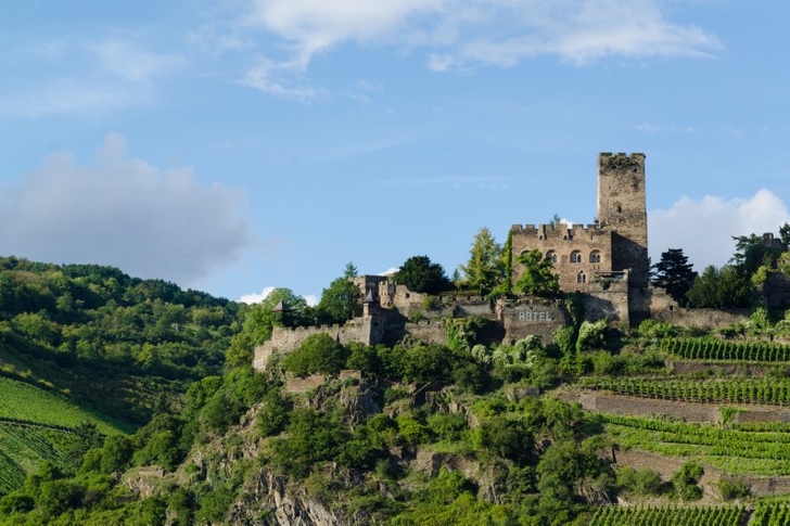 Burg Gutenfels