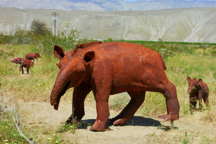 Tapir In California