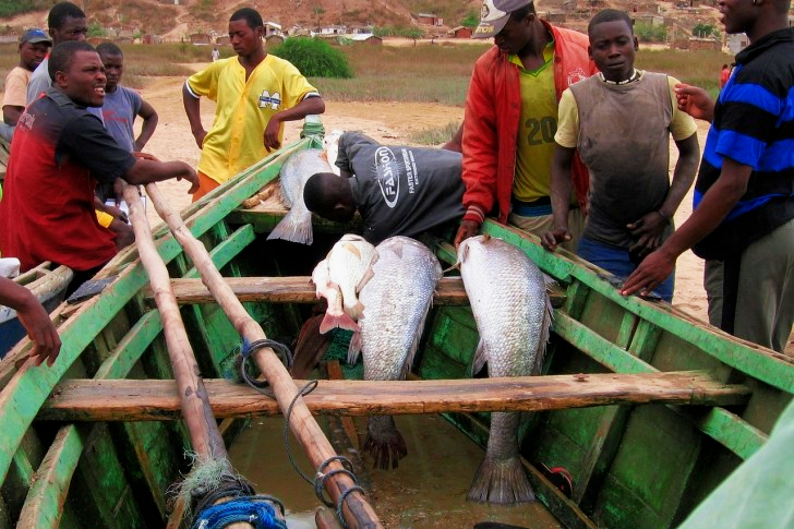 Pescadores Angola Boat Fish
