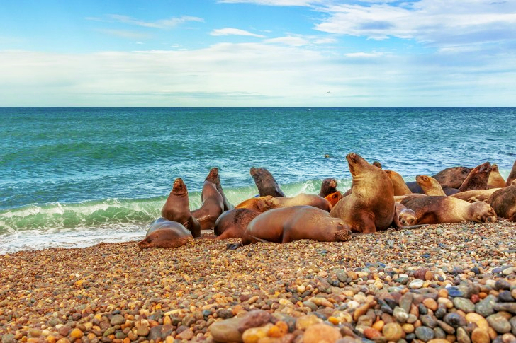 Patagonie en Argentine