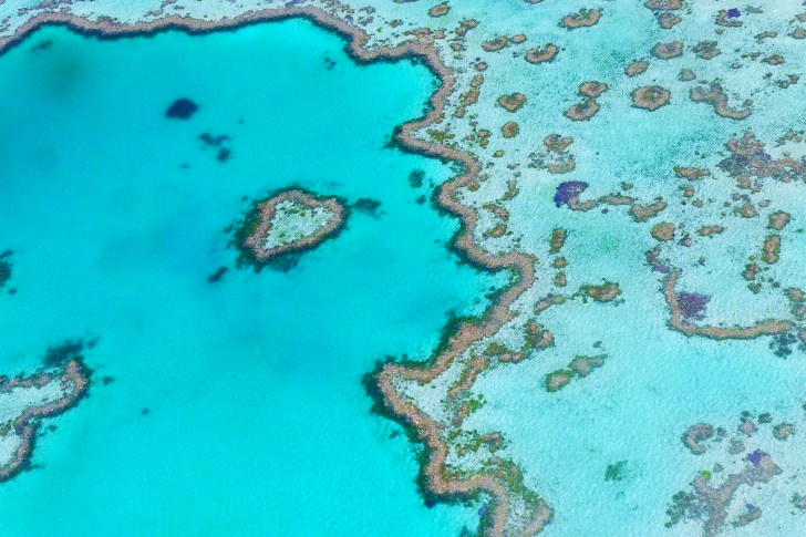 Heart Reef Australia