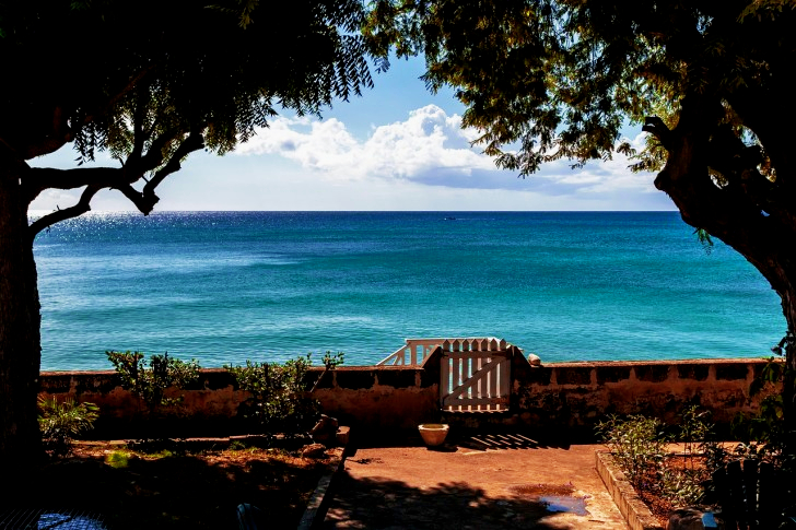 Ocean view In Barbados