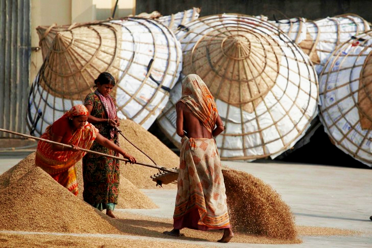Women Working In Bangladesh