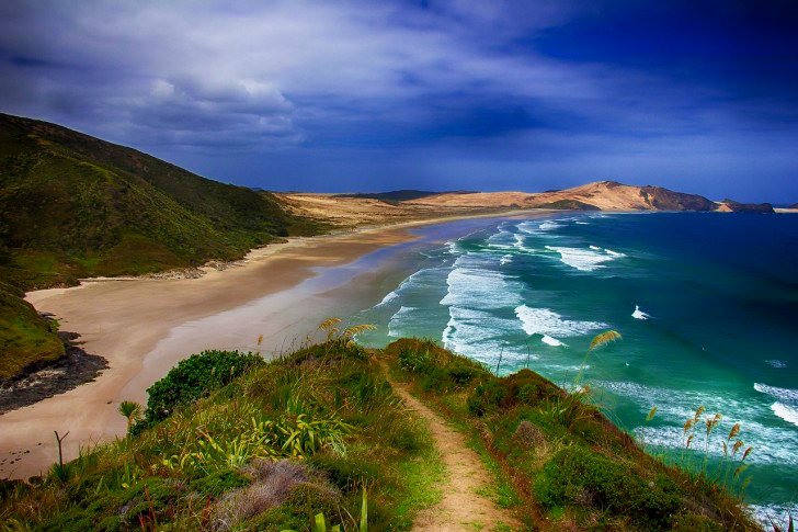 Beach In New Zealand