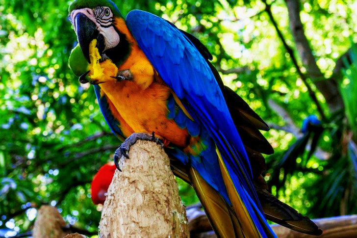 Cartagena In Colombia