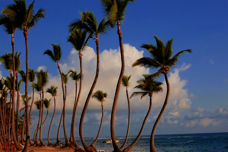 Punta Cana In Dominican Republic