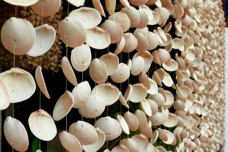 Shells Decoration