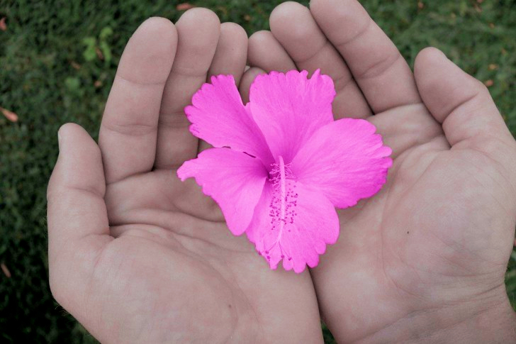 Flower In Hands