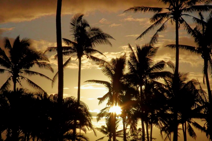 Fiji Sunset