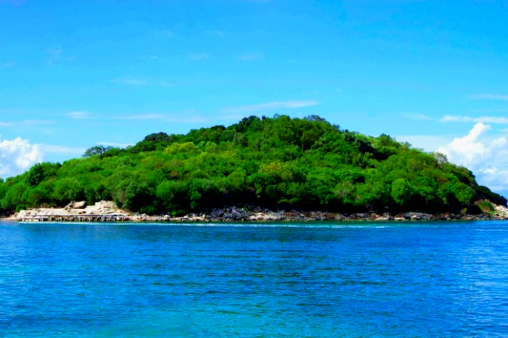 Island Covered With Green Trees Under The Clear Skies