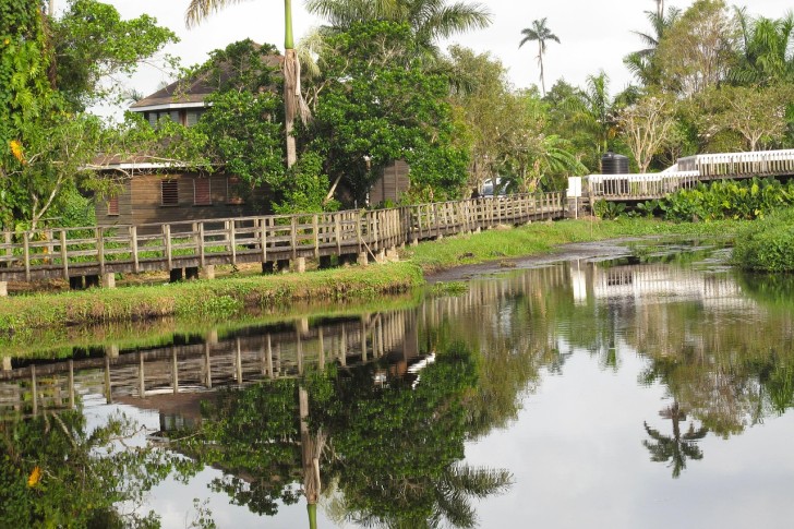 Waterreflecties in de Jamaica Stream