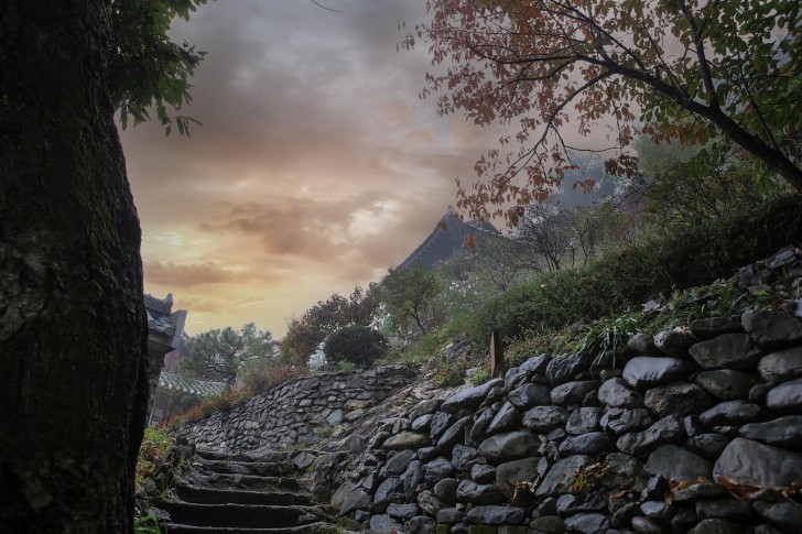 قسم مدخل الدرج بيت شعري