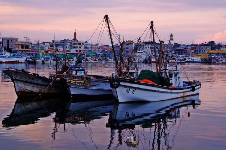 Gangneunghavets solnedgang Sør-Korea