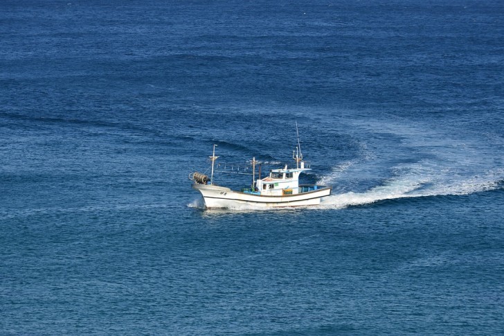 江陵海釣り船自然