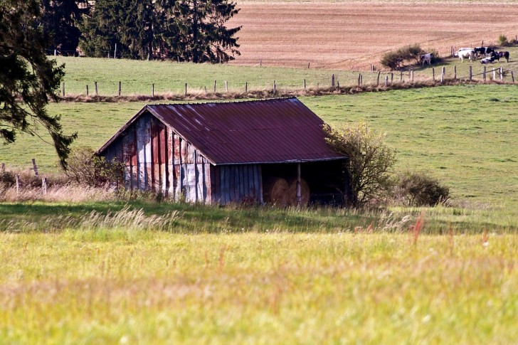 Schuur Landschap Platteland Natuur