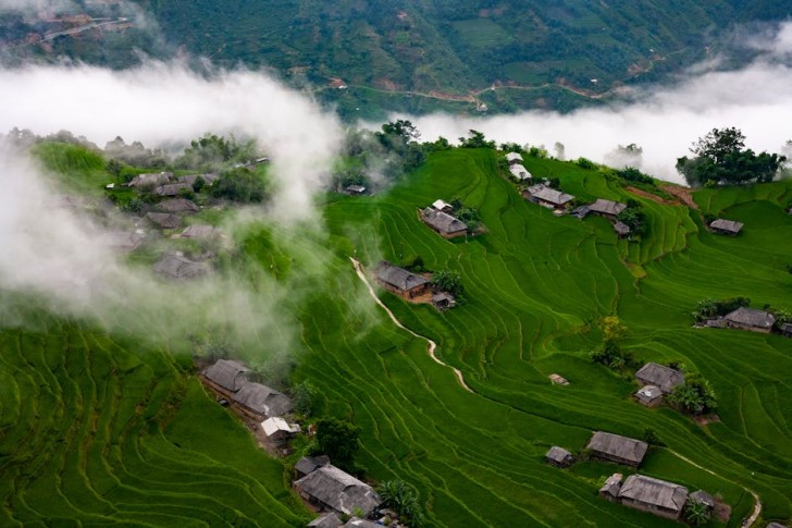 Edifici e campo coperto d'erba durante il giorno