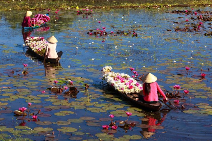 Tres mujeres montando barcos con flores de loto