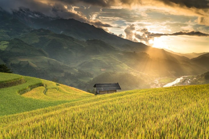 Hytte i nærheten av felt