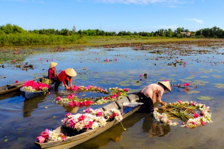 Tres mujeres recogiendo flores de loto en el lago