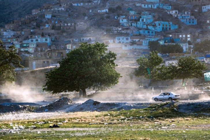 Gröna träd på gräsfält