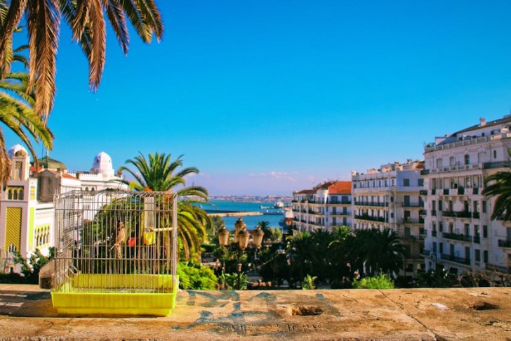 مبانٍ قريبة من أشجار طويلة