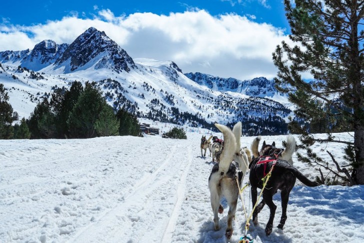 Vista de um trenó puxado por cães em meio a montanhas cobertas de neve.