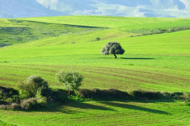 منظر خلاب للتلال الخضراء