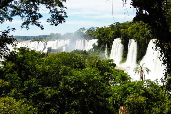 شلالات محاطة بالأشجار