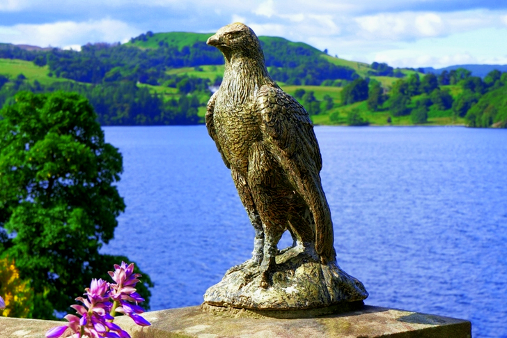Brown Concrete Eagle Figurine Near Body of Water