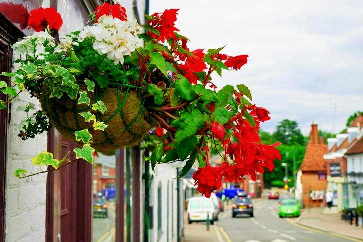 Biele a červené okvetné kvety visiace vedľa okna