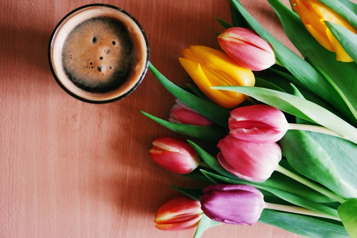 Pink and Yellow Tulips Beside Drinking Glass