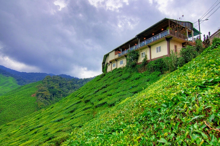 Beige Painted House and Green Grass Field