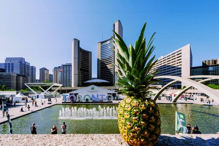 Ananás na sivom betónovom povrchu