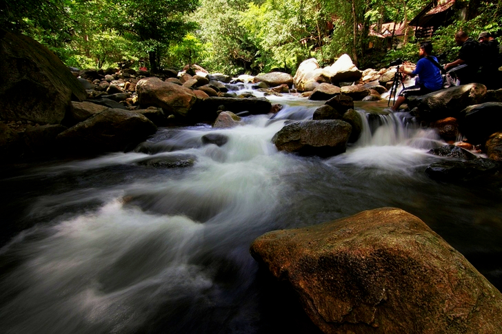 River With Rocks Surrounded by Trees