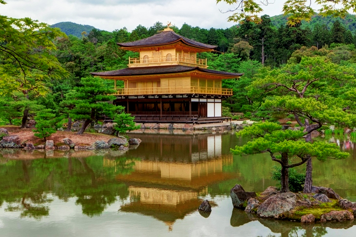 Brown Wooden House Surrounded by Trees Beside Body of Water Under White Sky during Daytime