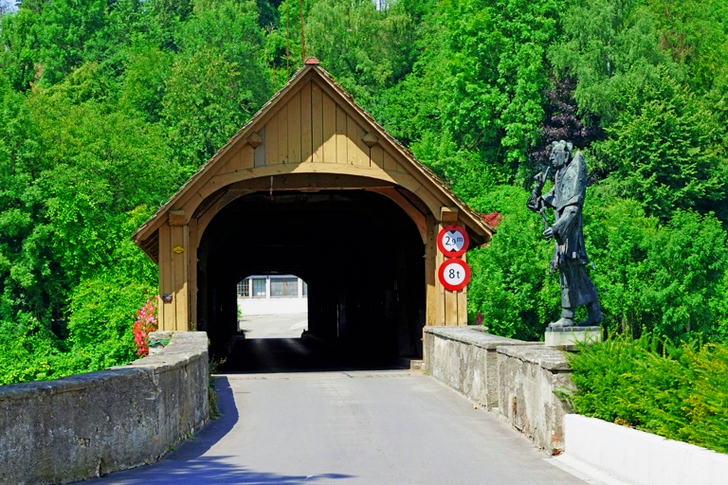 Brown Wooden Tunnel Near Green Trees during Daytime