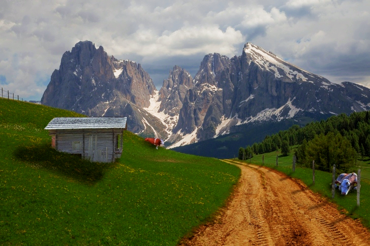Schneebedeckter Berg in der Ferne von Cow and Brown Road