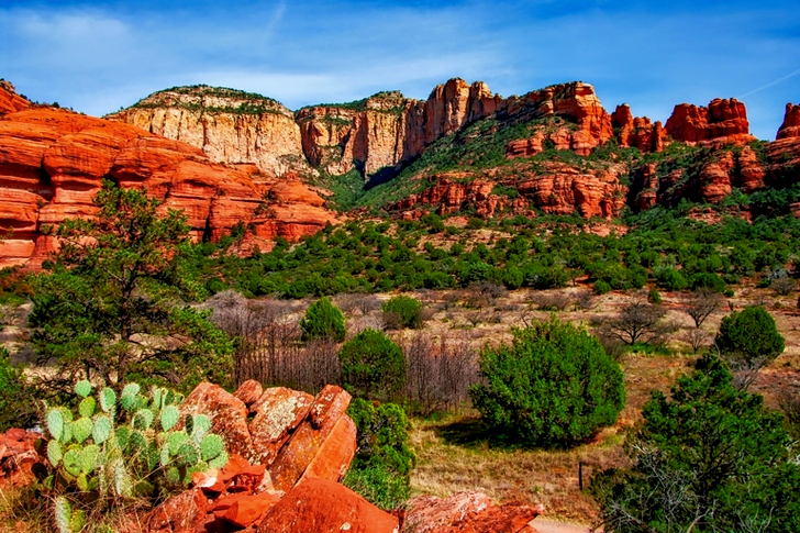 Green Leafed Plants Surrounded by Mountains