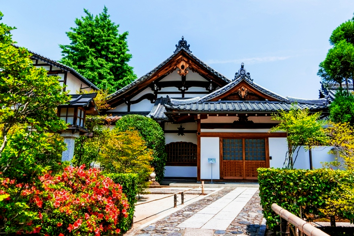White and Brown House