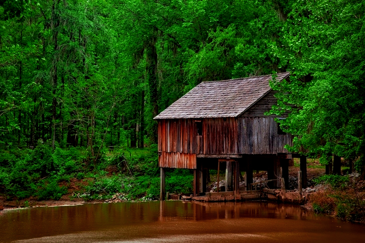 Brown Wooden Shed Surrounded by Trees