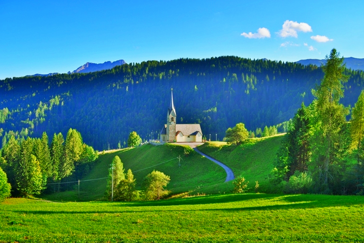 White and Gray Painted Church on Hill Top Surrounded by Trees