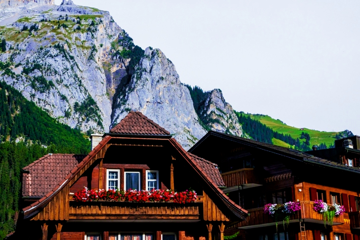 Selective Focus of Brown and Red Houses