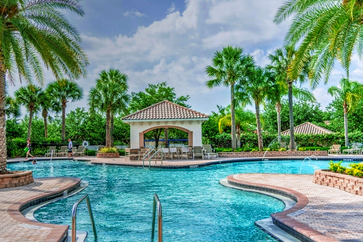 Palm Tree Planted Near Pool