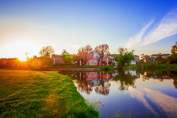 Lake Beside Trees in Distance of Houses