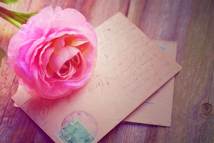 Pink Rose on Greetings Card