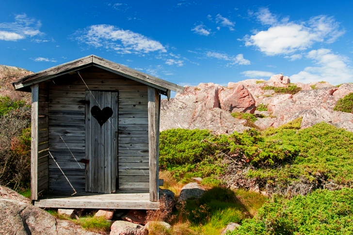 Brown Wooden Commode Near Grass