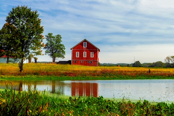 Brown Barn Beside Tree