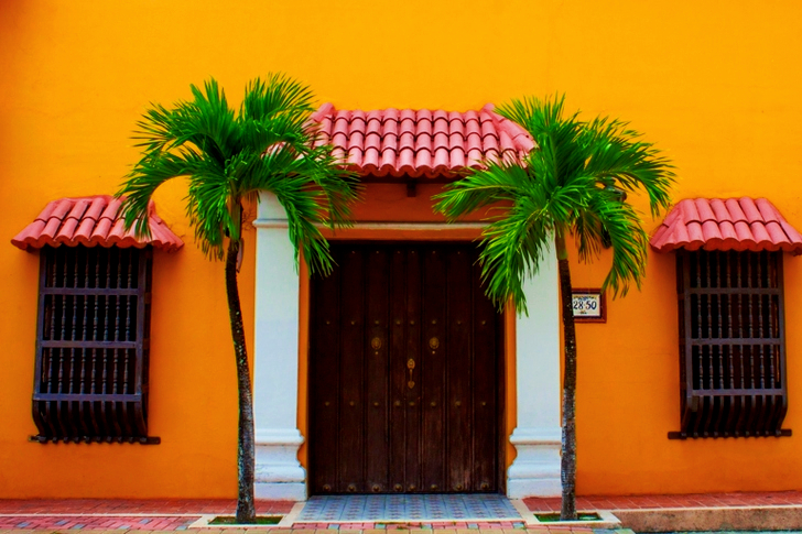 2 grønne palmer ved siden af ​​trædør