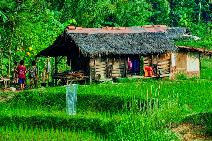 Cabane en bois marron