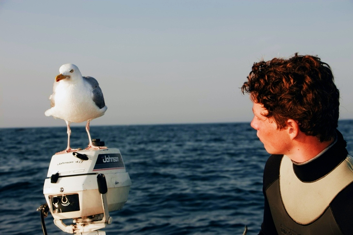 Man Looking at Bird Standing on Outboard Motor